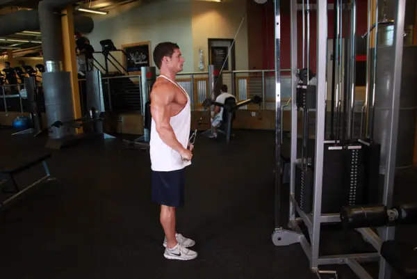 Pulldown com barra: fim do movimento